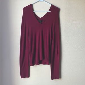 Express Plum V Neck Stretch Sweater